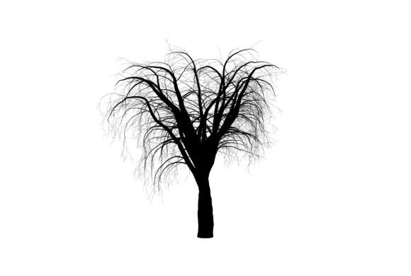 Drawing Tree Art: A Strategic Tool for Creative and Professional Use