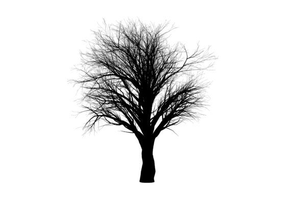 Exploring the Versatility of Nature Tree Art in Modern Design