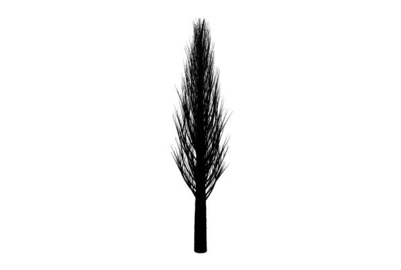 Nature Tree Illustration: A Versatile Design Element for Creators and Businesses