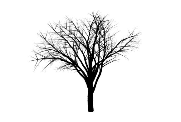 Simplicity Tree Illustration: A Versatile Design Element for Creative Projects